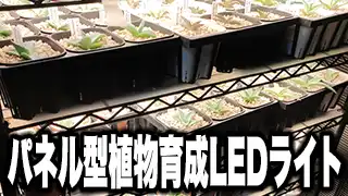 パネル型植物育成LEDライト