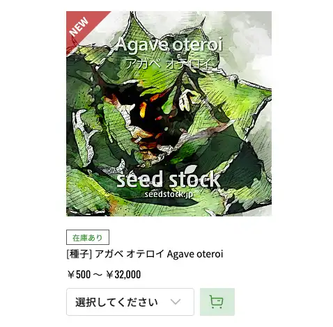 Seed Stock オテロイ購入ページ